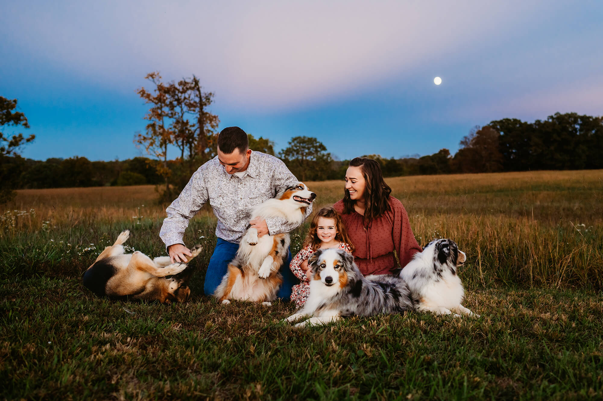 Springfield MO family photographer captures family playing with dogs in field